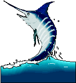 Marlin.gif (4453 octets)