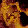 danse01.gif (9980 octets)