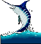 espad.gif (2504 octets)